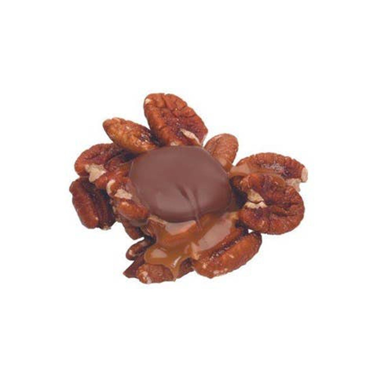 Coblentz Chocolates, Milk Choc Pecan Snapper, 3lb Box