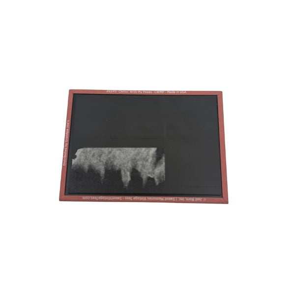 Magnet - Chillin' with my PEEPS 5ct