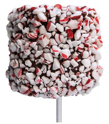 Giant Marshmallow w/ Chocolate Peppermint Coating, 12ct