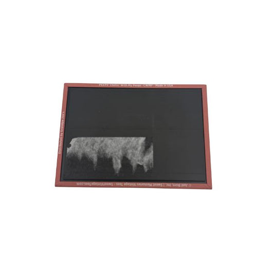 Magnet - Chillin' with my PEEPS 5ct