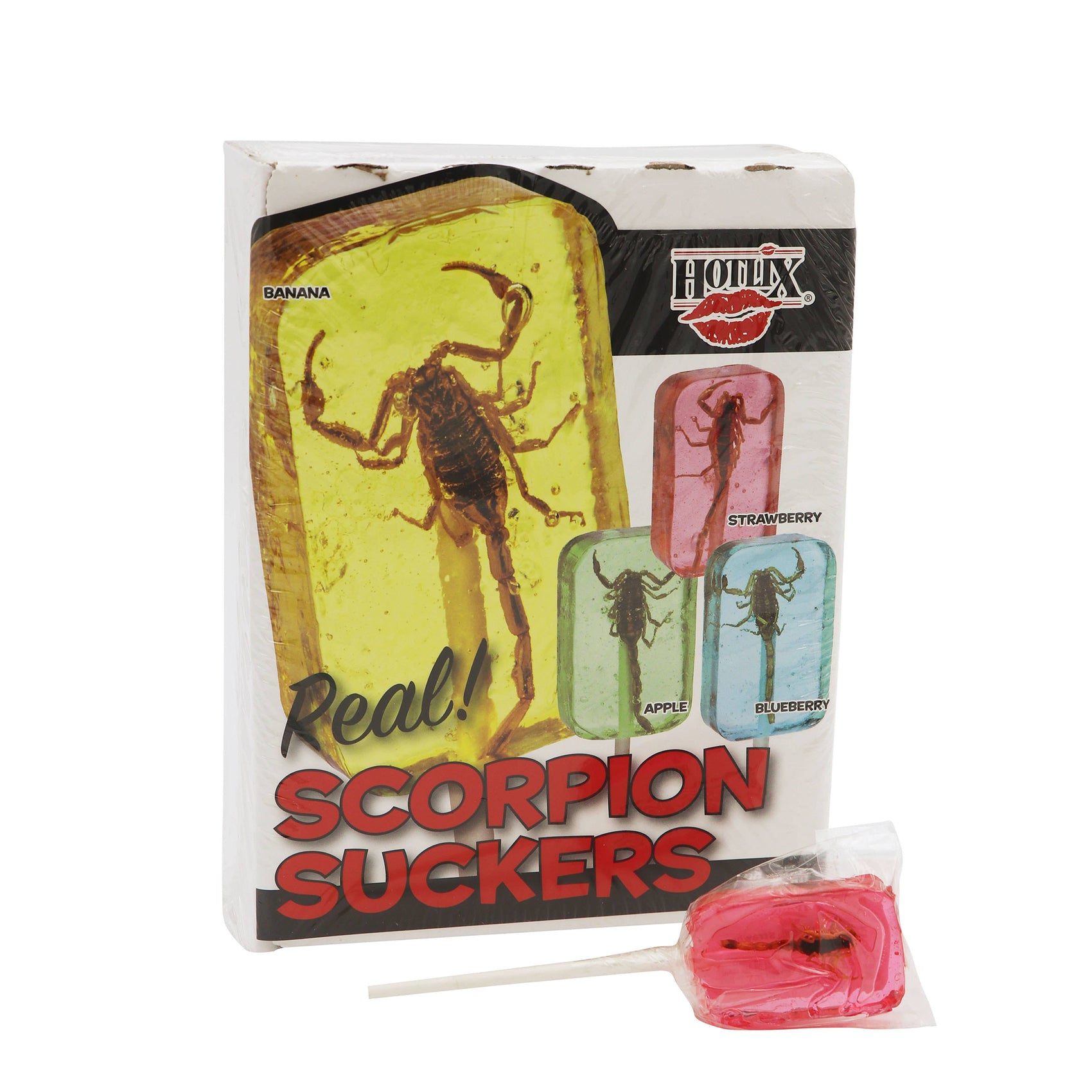 Scorpion Sucker Lollipop, Assorted Flavors, 36ct Box