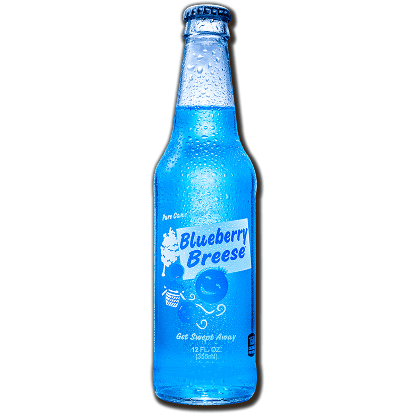 Excel Blueberry Breese 12oz Glass Bottle 12ct