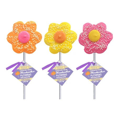 Easter Chocolate Dipped Marshmallow Flower Pops, 1.1oz, 18ct Display
